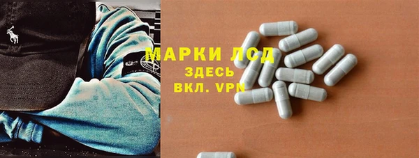 индика Алексин