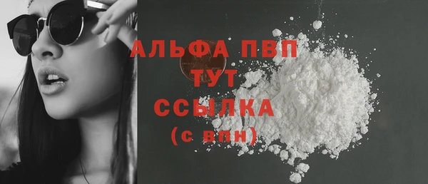 индика Алексин