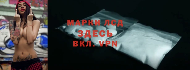индика Алексин