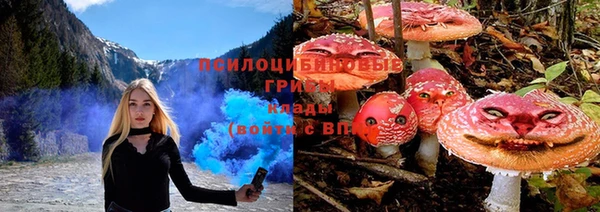 индика Алексин