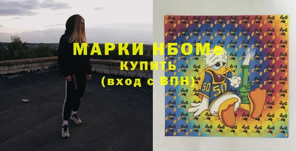 индика Алексин