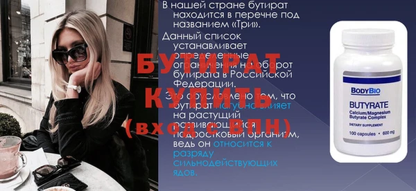 индика Алексин