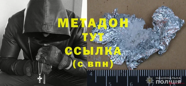 индика Алексин