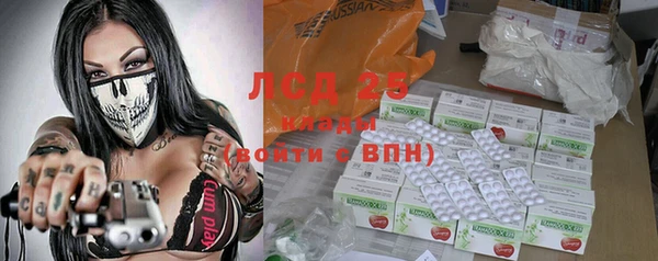 индика Алексин