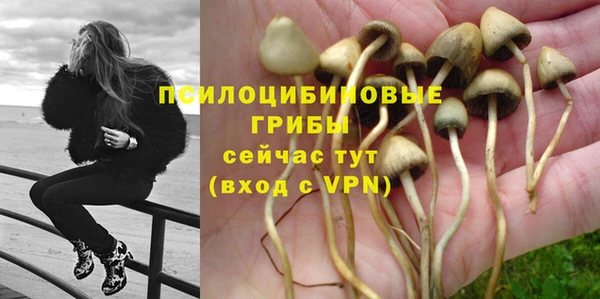 мескалин Алзамай