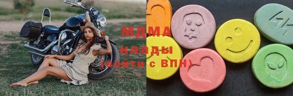 индика Алексин